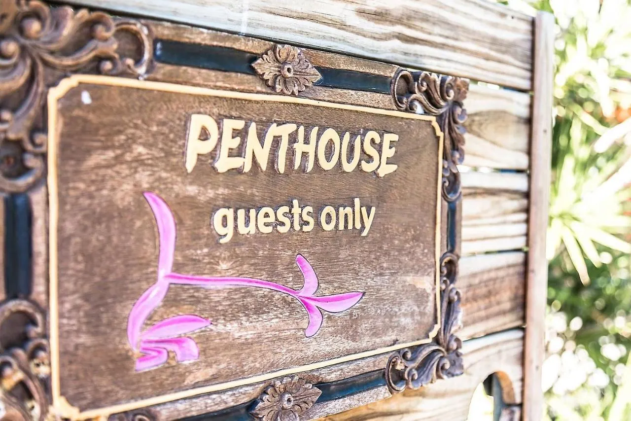 別荘 Byron Blisshouse Penthouse - Belongil Beach Luxury バイロンベイ